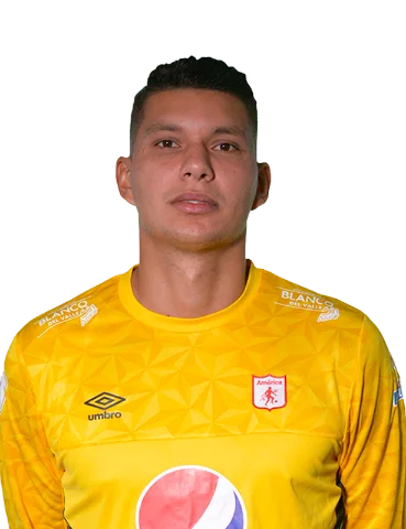 Alvino  Volpi Neto