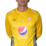 Neto Volpi