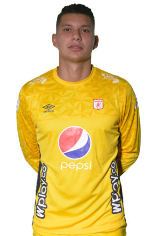 Neto Volpi